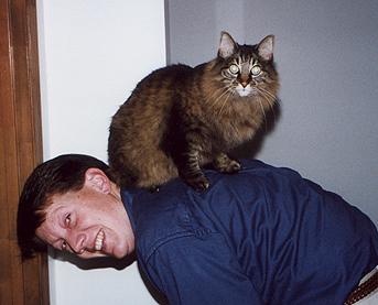 Get off my back, Nicky!