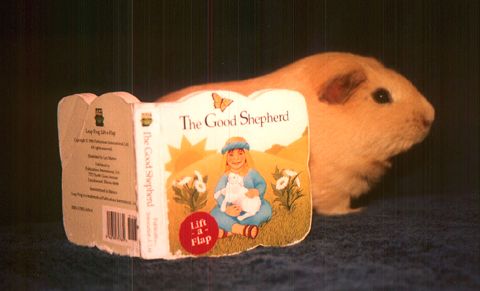 Rudy reading The Good Shepherd