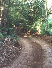 Road to Pumpkin Hill