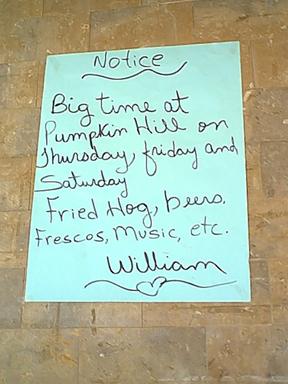 Friday at Pumpkin Hill
