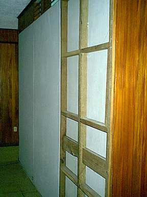 Wood lice eaten wall removed