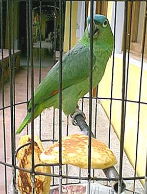 One of the permanent residents of the hotel