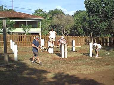 The PVC forest