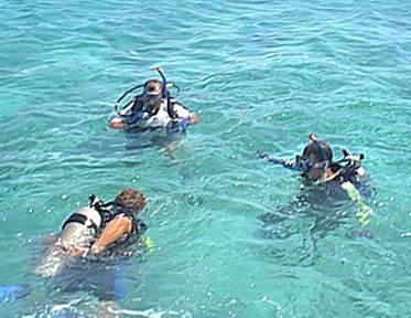 Divers in the water