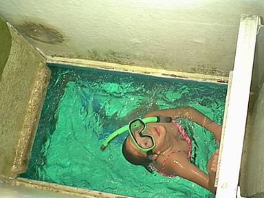 Up the hatch