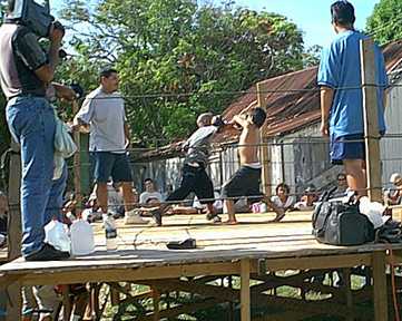 Children boxing