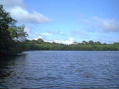 Big Bight Pond