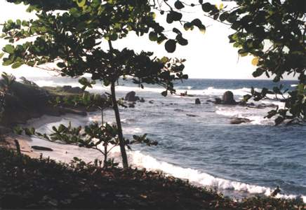 Utila north shore