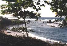 Utila north shore