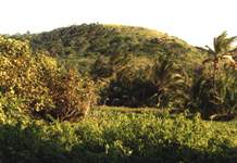 Pumpkin Hill